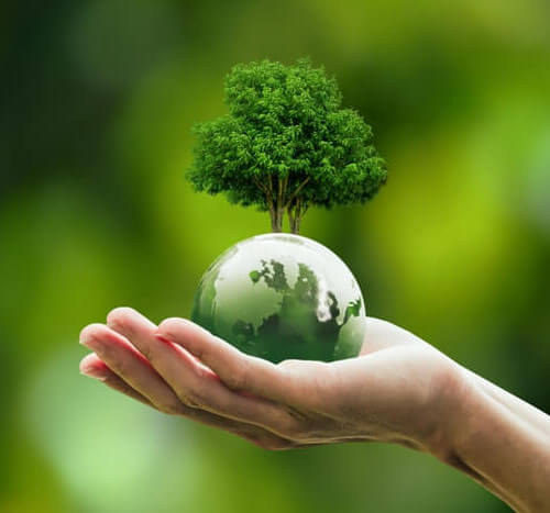 A plant planted in a hand pointing towards ESG and sustainability