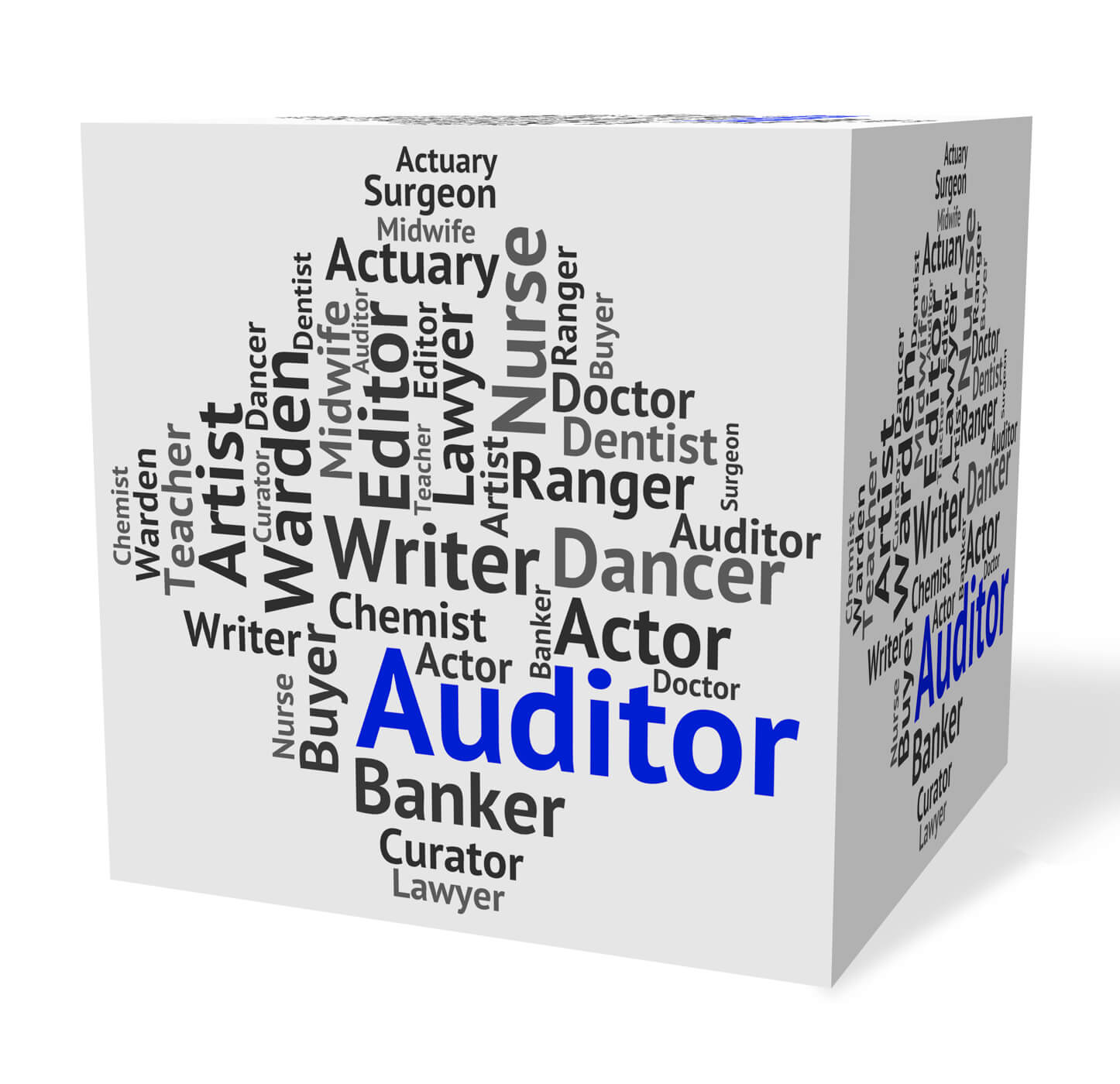 A cube with various profession names, including "Auditor" in bold blue and "Appointed Actuary" among them.