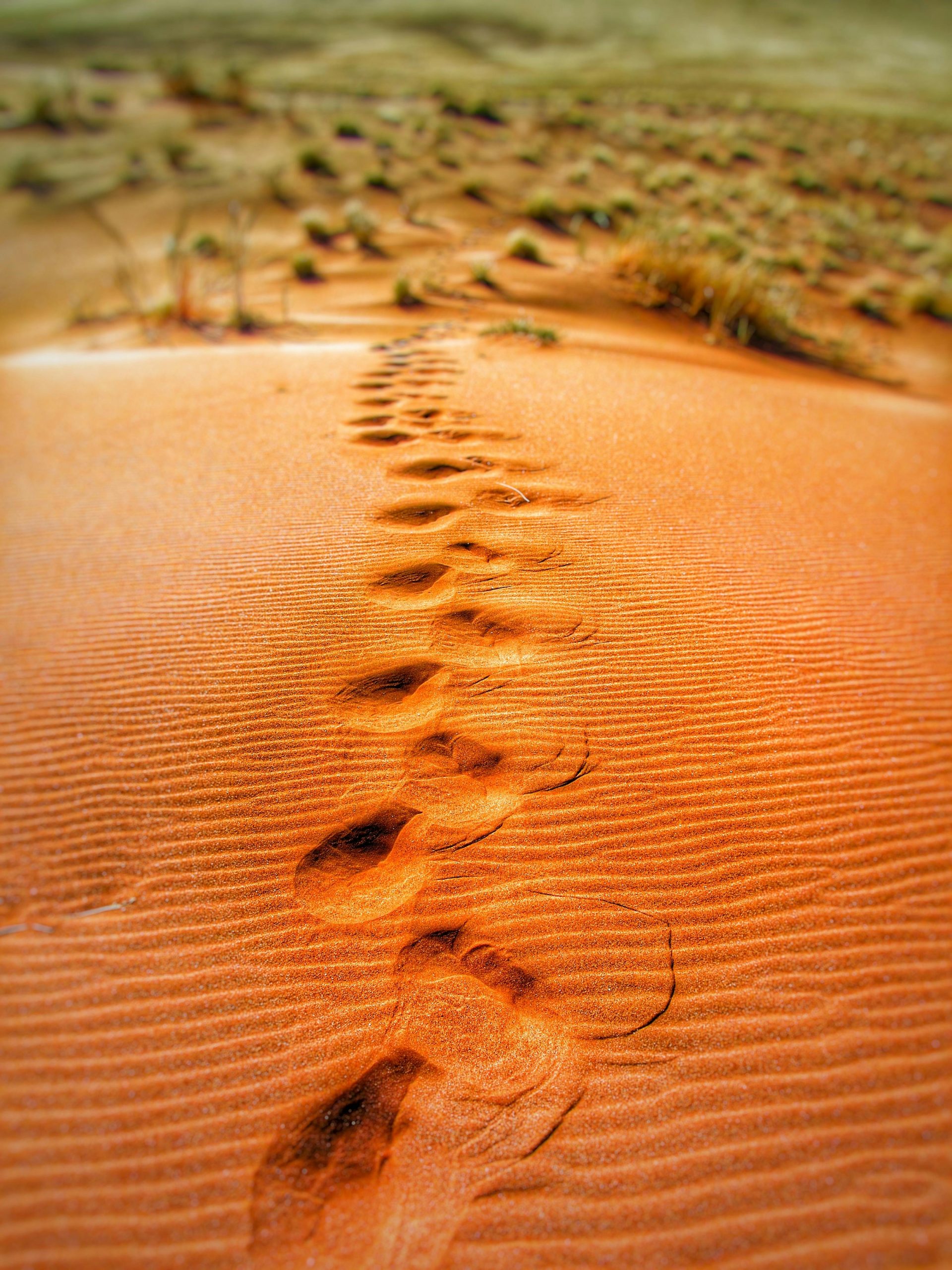 Risk Management Actuarial Firm Selection UAE | Step-by-Step Approach